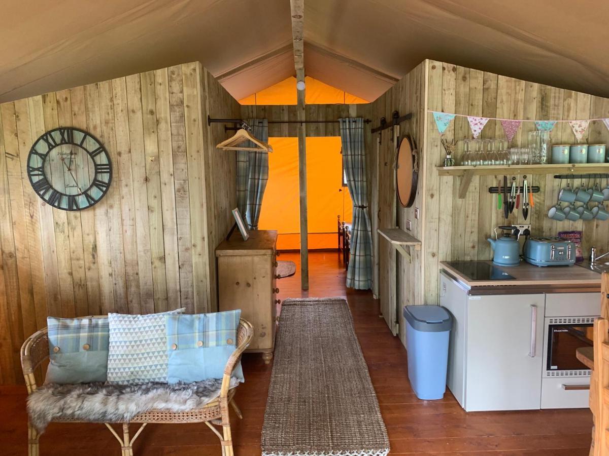Mountain View Safari Tent With Hot Tub In The Heart Of Snowdonia Dolgellau Esterno foto