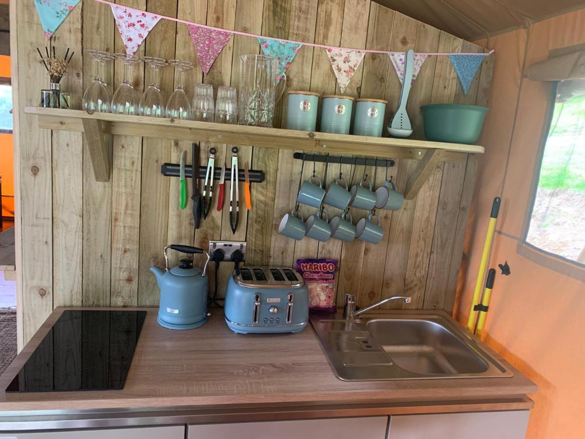 Mountain View Safari Tent With Hot Tub In The Heart Of Snowdonia Dolgellau Esterno foto