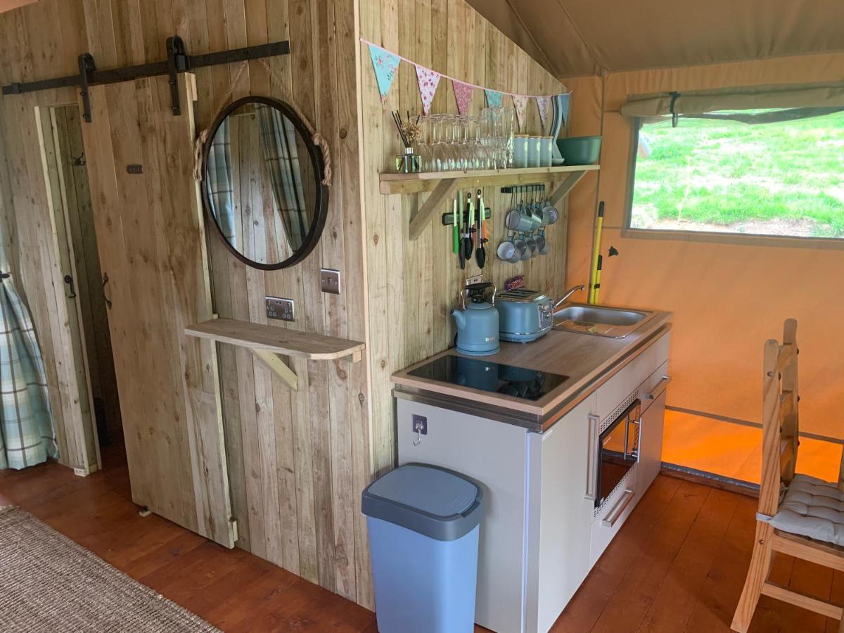 Mountain View Safari Tent With Hot Tub In The Heart Of Snowdonia Dolgellau Esterno foto